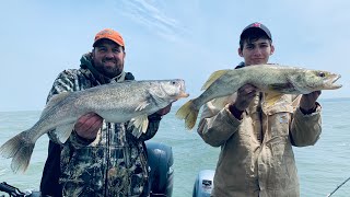 Lake Erie Walleye Avon May 16 2020 [upl. by Ecined895]