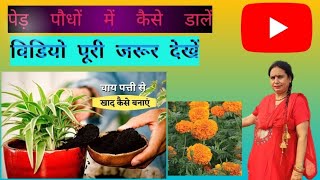 phool paudhon mein chai Patti ki Khad is Prakar dalen [upl. by Auot572]