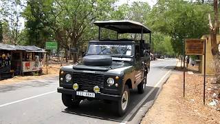 Safari Udawalawe Nationalpark Sri Lanka [upl. by Ztirf961]