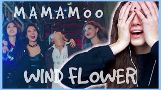 MAMAMOO 마마무  Wind Flower MV REACTION [upl. by Ellebana]