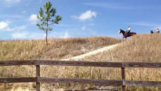 Horseback Riding at Mosaic Peace River Park Homeland Fort Meade Florida [upl. by Aenil]