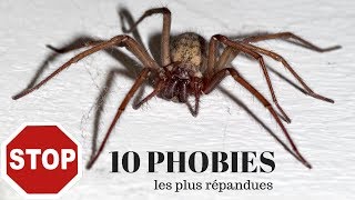 Comment traiter vos phobies [upl. by Sclar]