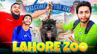 Lahore Zoo Me Animal K Sath Full Masti🐻😍🦁  zoo  animals zoo animals funny vlog [upl. by Roberts]