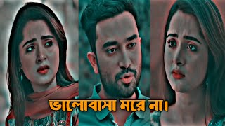 সত্যিকারের ভালোবাসা কখনো মরেনা। ভালোবাসা দ্বিতীয় বারও হয়। New Natok Shorts video New Love story [upl. by Irallih401]