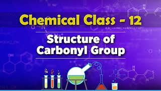 Structure of Carbonyl Group  Aldehydes Ketones and Carboxylic Acids  Chemistry Class 12 [upl. by Pussej]