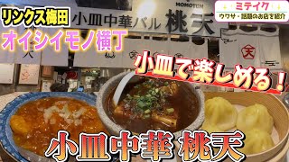 【リンクス梅田グルメ】コスパ良し❗️つまめる小皿中華【桃天】おすすめ料理ご紹介❗️ヨドバシカメラ梅田B1 [upl. by Nyrek]