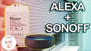 Controllo tapparelle wifi con SONOFF DUAL amp ALEXA [upl. by Eiboh]