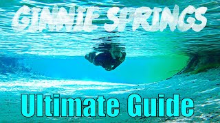 Ginnie Springs Ultimate Guide Tips and Fun Vlog Camping Tubing Snorkeling amp Wildlife Florida [upl. by Beck]