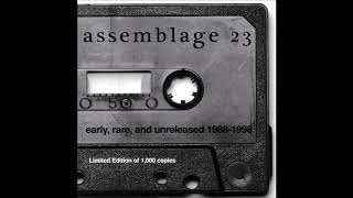 Assemblage 23  Mortuary [upl. by Uhile260]