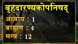 बृहदारण्यकोपनिषद् 1412 मन्त्र अनुवाद एवं व्याख्या  Brihadaranyaka Upanishad 1412 [upl. by Suzanna]