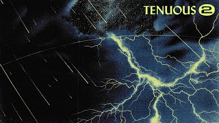 Tenuous amp Gemunji  Through The Night Official Audio [upl. by Essilrahc205]