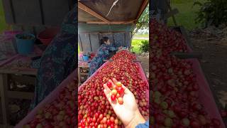 ✨Roadside of Sri Lanka 🇱🇰  Happy lady  srilankan fruit🌼✨ [upl. by Luben]