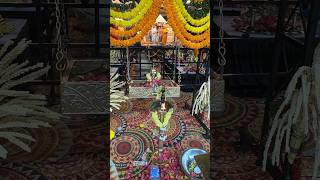 SriniManu  Sri Ayyappa Swamy Divya Darshan ayyappaswamy ayyappa srinimanu shorts darshan [upl. by Trepur794]