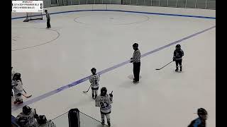 Game 1  SNIPERS EDGE SPRING FINALE TOURN 2016 SDP PREMIER BLU vs PRO HYBRID BULLS  05102024 [upl. by Koran]