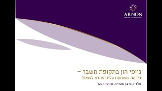 וובינר השקעות הייטק בתקופת משבר [upl. by Urissa]