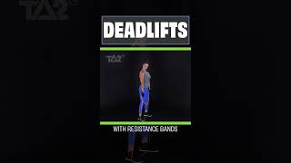 Resistance Band Training  Deadlifts  TA2 Burn Program [upl. by Nawk]