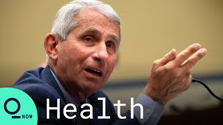 US Could Hit Herd Immunity This Summer Fauci Says [upl. by Annaoy429]