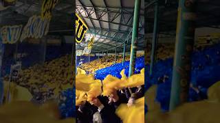 Eintracht Braunschweig allez allez 🔵🟡 [upl. by Elayne711]