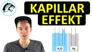 Der Kapillareffekt  Physik Tutorial [upl. by Hgielra]