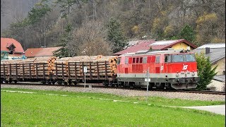 ÖBB 21430301 Holzverkehr im Triestingtal 2832019 [upl. by Erroll]