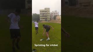 cricket fitness training cricket reels [upl. by Dyrrej729]