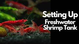 How To Setup A Freshwater Shrimp Tank 🦐 [upl. by Moria]