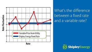 Fixed Rate vs Variable Rate [upl. by Noxin728]