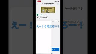 アメックス限度額 500万円！？ 嘘だろ！ 5万円一括でもキツイです！！頑張ろー！ [upl. by Melburn]