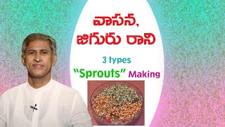 Sprouts Making Recipe In Telugu  Manthena Satyanarayana Raju Latest Videos  Manthena Official [upl. by Aicila]