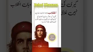 Che Guevara urdu quotes status  Che Guevara  چے گویرا cheguevaraquotes [upl. by Cardie]