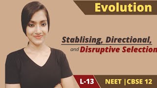 Evolution 13  Stablising  Directional  Disruptive  NEET  CBSE boards  Class 12  Suman Yadav [upl. by Terry]