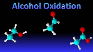 Alcohol Oxidation [upl. by Mcleroy]