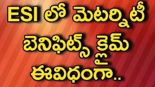 How to claim ESI maternity benefits explained in Telugu by pujari rajesh [upl. by Ecnaralc468]