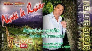 NELUTA BUCUR  Bujorel sio garofita  Sarba instrumental live 2014 [upl. by Coletta801]