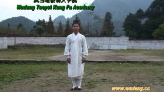 Wudang Taiyi Wuxing Qigong 5 Elements 管永星五形气功 [upl. by Moorefield]