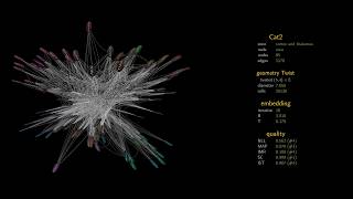 NonEuclidean brains [upl. by Nyloc274]