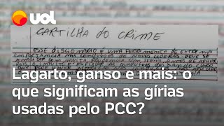 Cartilha do PCC Lagarto viúva ganso e mais o que significam as gírias usadas pela facção [upl. by Enomar178]