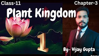 Plant Kingdom Class11 Biology NCERT Chapter3 [upl. by Nnaul153]