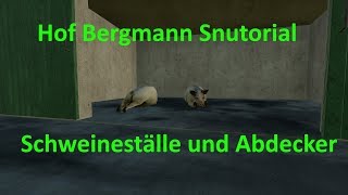 LS19  Tutorial Hof Bergmann  Schweineställe und Abdeckerei [upl. by Keary58]