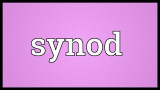 Synod Meaning [upl. by Earl369]