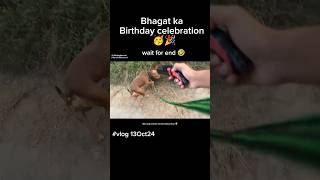 Fake Gun Shoot Prank Kiya😨shorts ritikdogkennel birthdaycelebration pitbull rock ytshorts [upl. by Trovillion946]