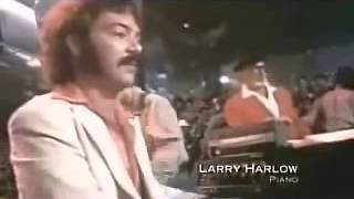 Larry Harlow  El Dolorcito de Mi China  Music Video [upl. by Jordanson743]