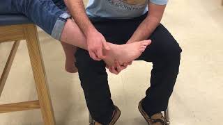 Valgus and Varus Stress Tests of the Ankle [upl. by Hacissej441]