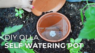 How to make DIY Ollas SelfWatering Systems for Plants [upl. by Etnauq737]