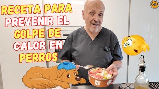 🐶 RECETA PARA PREVENIR EL GOLPE DE CALOR EN PERROS 🐶 [upl. by Fortune]