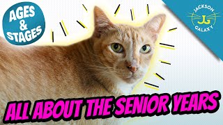 The Senior Cat Years  Cat Ages and Stages [upl. by Wald365]