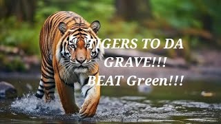 Massillon Tiger Football playoffs 2023 Beat Green hype [upl. by Zabrine]