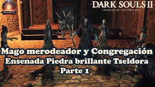 DARK SOULS 2  Mago Merodeador y Congregacion Tseldora Parte 1 darksouls2 [upl. by Amerak194]