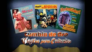 VIEJITOS PERO CALIENTES CUMBIA DE ORO GRANDES EXITOS MEGAMIX RETRO SUPER BAILABLES VERANO 2023 [upl. by Atiuqehc312]