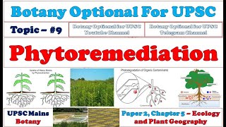 Phytoremediation Types Advantages Limitations Botany Lectures By Dr Pravin Ekade [upl. by Dorene]